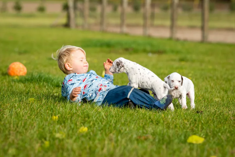 34. Lebenstag - B-Wurf (50)