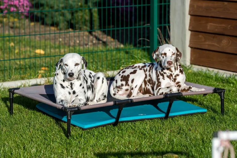 34. Lebenstag - B-Wurf (54)