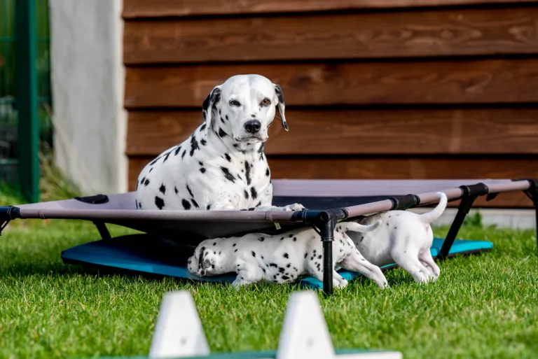 34. Lebenstag - B-Wurf (65)