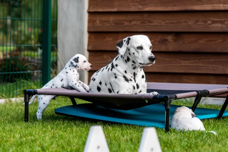 34. Lebenstag - B-Wurf (66)