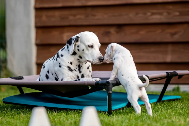 34. Lebenstag - B-Wurf (71)