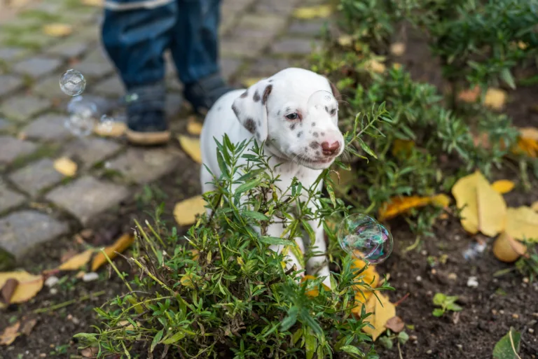 34. Lebenstag - B-Wurf (9)