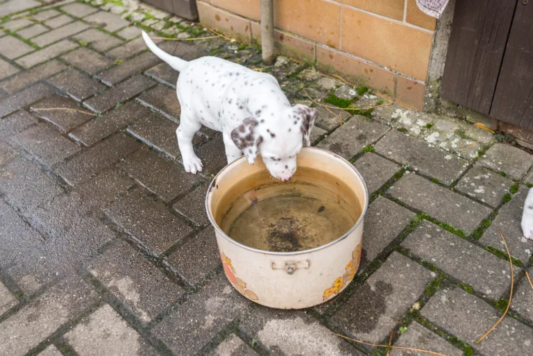 36. Lebenstag - B-Wurf (10)