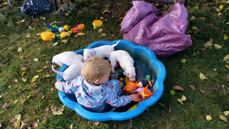 36. Lebenstag - B-Wurf (14)