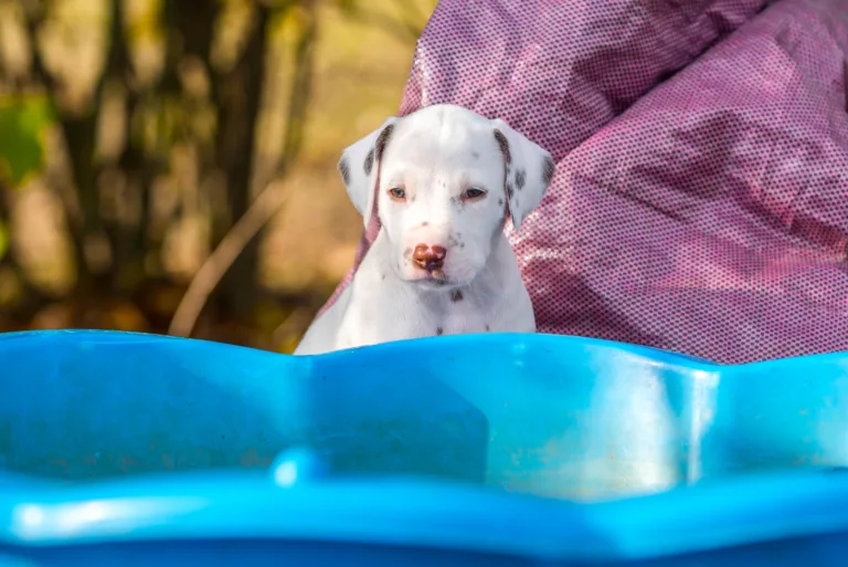 36. Lebenstag - B-Wurf (3)