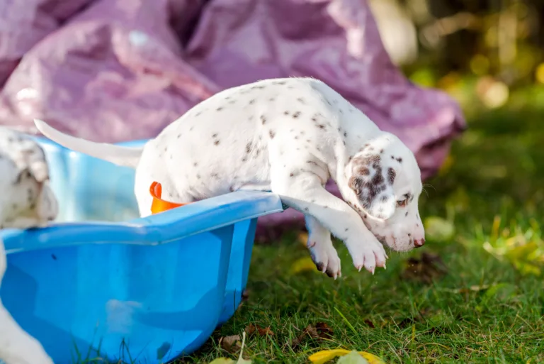 36. Lebenstag - B-Wurf (5)