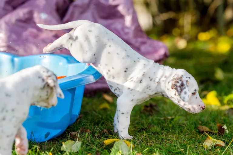 36. Lebenstag - B-Wurf (6)