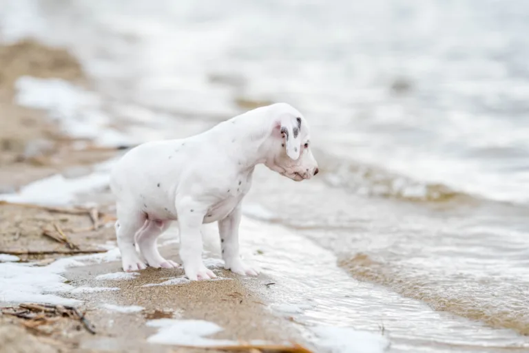 37. Lebenstag - B-Wurf (15)