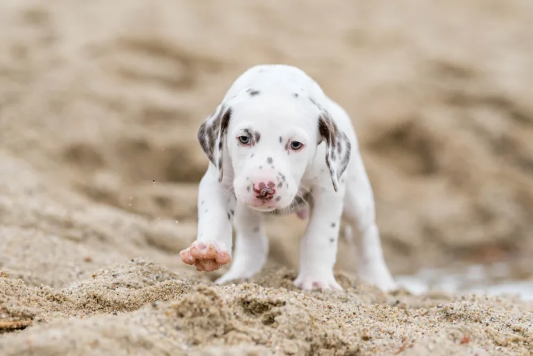 37. Lebenstag - B-Wurf (16)