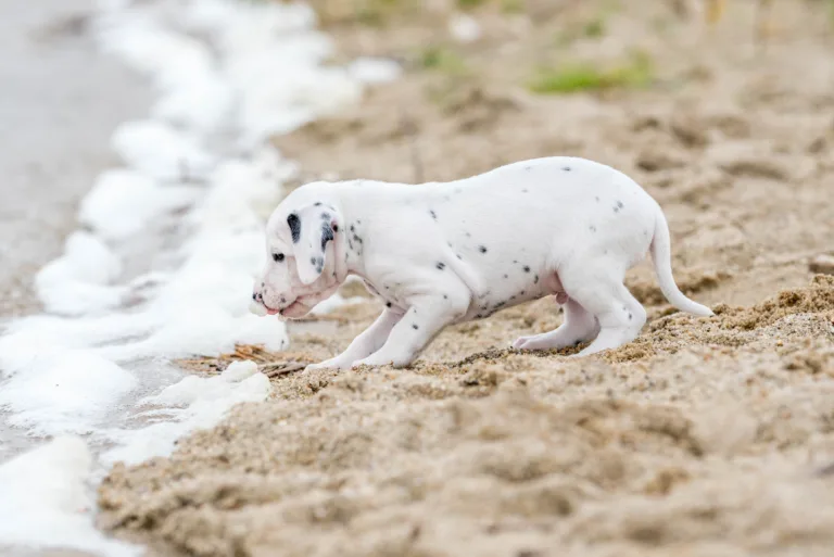 37. Lebenstag - B-Wurf (17)