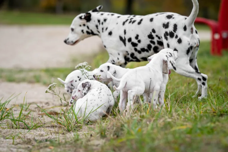 37. Lebenstag - B-Wurf (19)