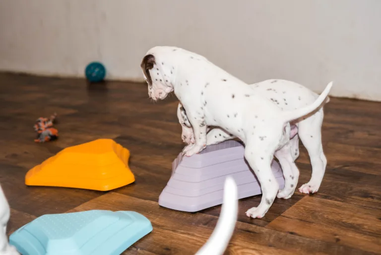 38. Lebenstag - B-Wurf (1)