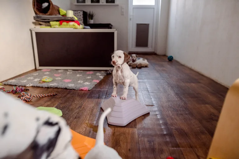 38. Lebenstag - B-Wurf (12)