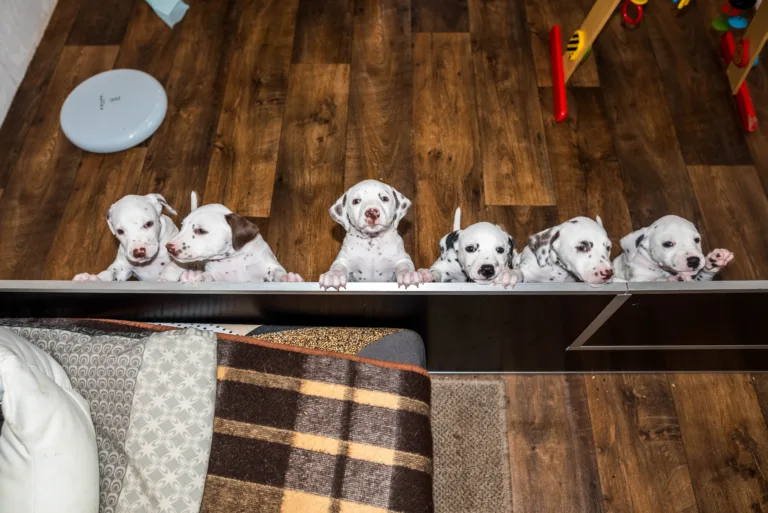 38. Lebenstag - B-Wurf (13)