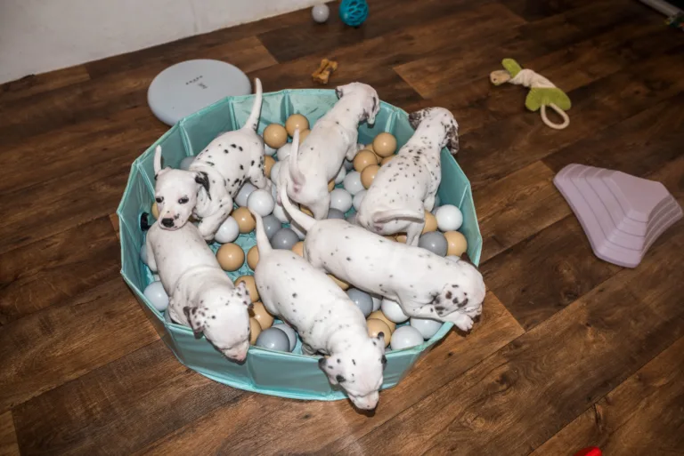 38. Lebenstag - B-Wurf (15)