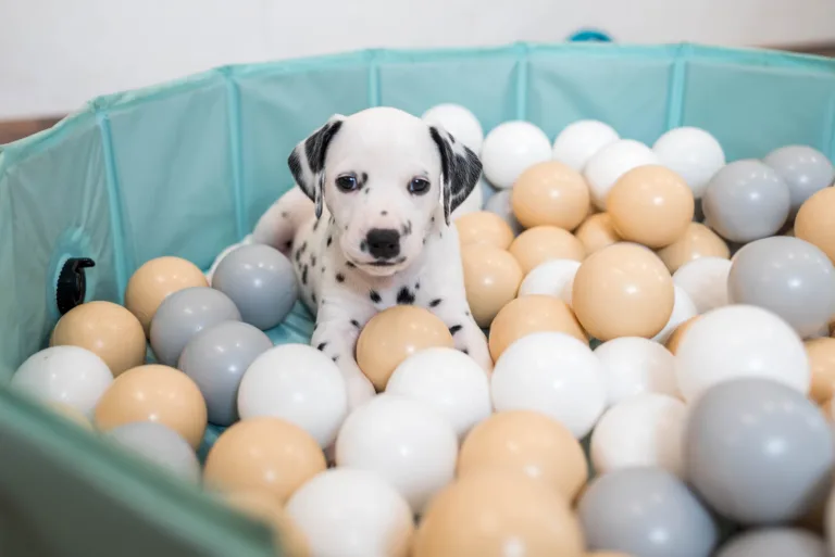 38. Lebenstag - B-Wurf (18)