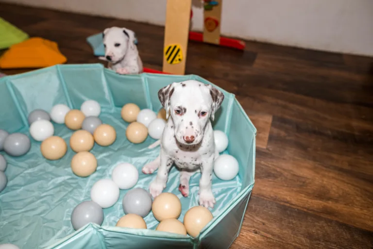 38. Lebenstag - B-Wurf (19)