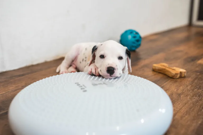 38. Lebenstag - B-Wurf (20)