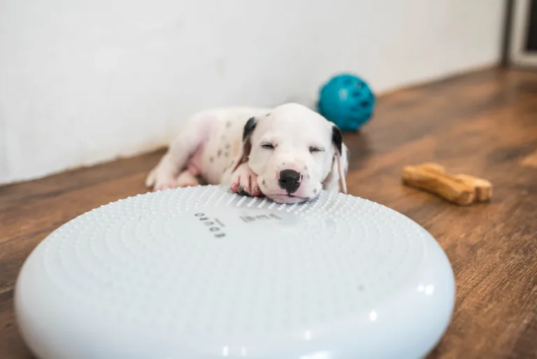 38. Lebenstag - B-Wurf (21)