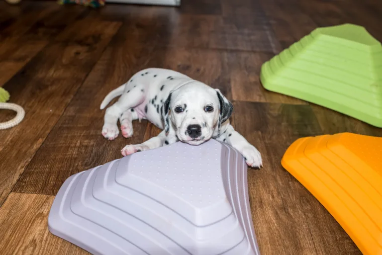 38. Lebenstag - B-Wurf (22)