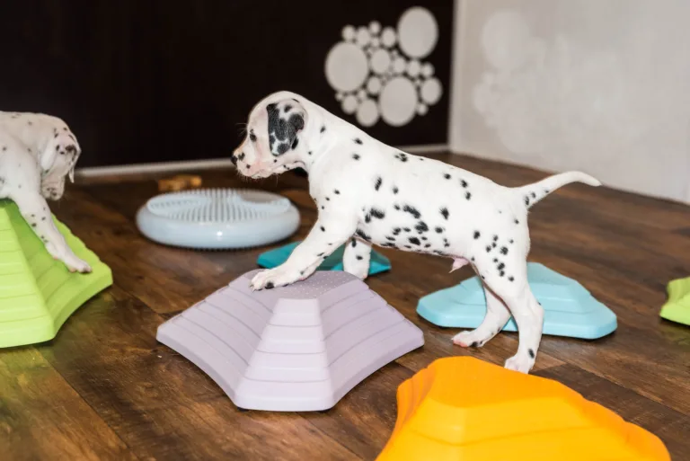 38. Lebenstag - B-Wurf (4)