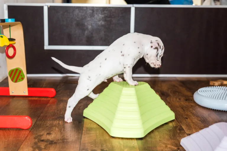 38. Lebenstag - B-Wurf (5)