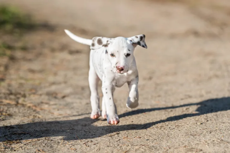 39. Lebenstag - B-Wurf (11)