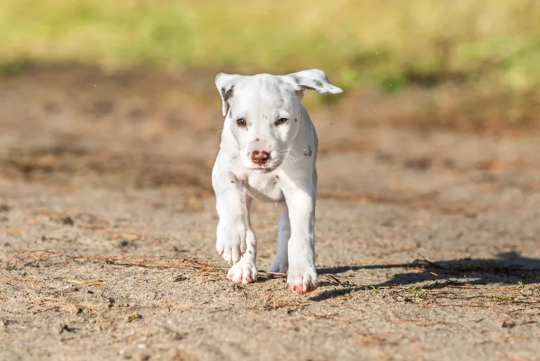 39. Lebenstag - B-Wurf (13)