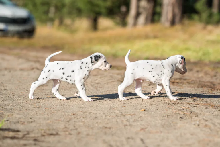 39. Lebenstag - B-Wurf (14)