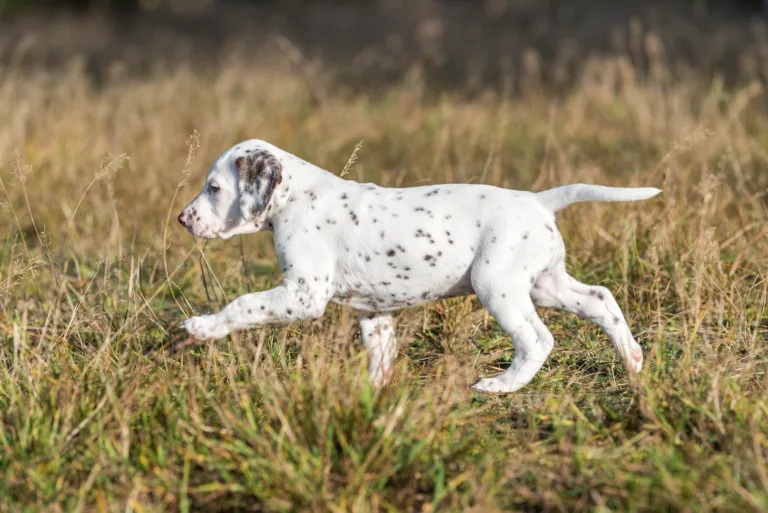 39. Lebenstag - B-Wurf (18)