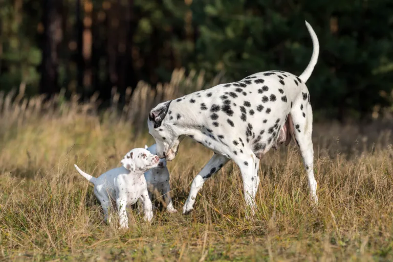 39. Lebenstag - B-Wurf (19)