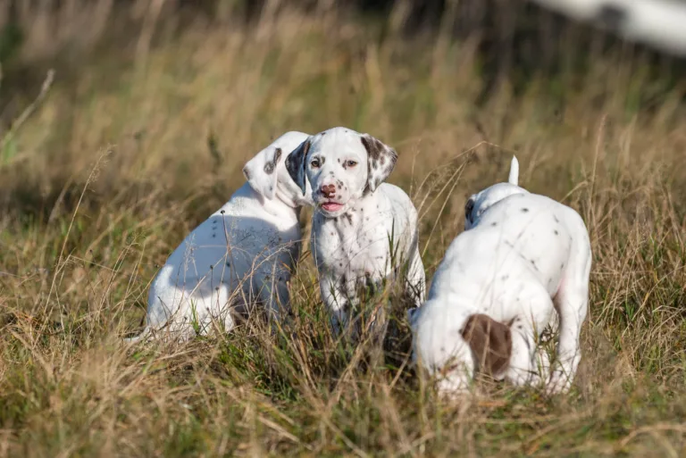 39. Lebenstag - B-Wurf (21)