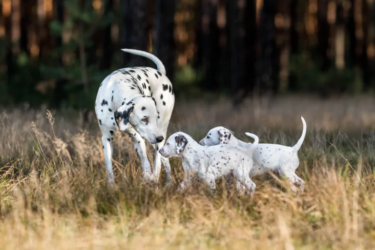 39. Lebenstag - B-Wurf (25)