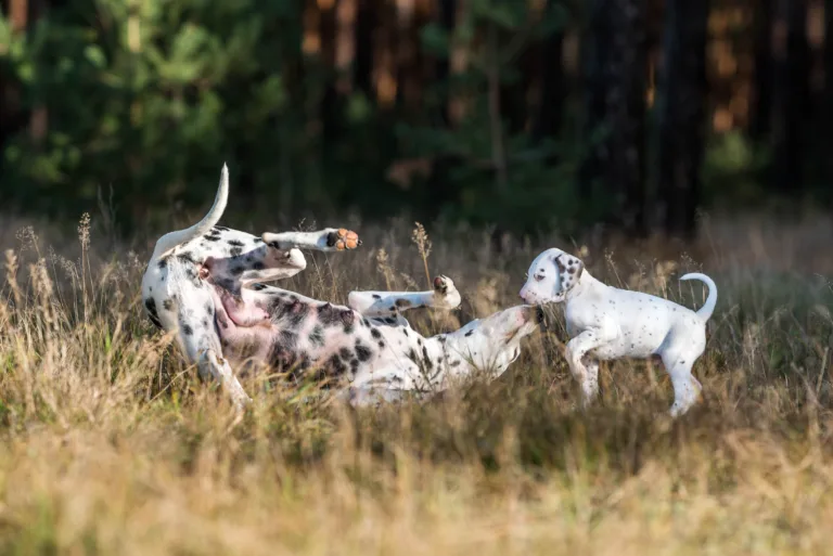 39. Lebenstag - B-Wurf (26)