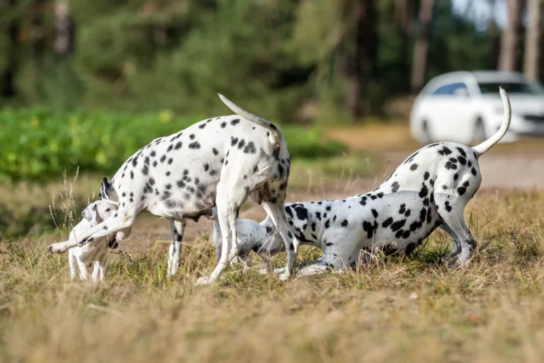 39. Lebenstag - B-Wurf (27)