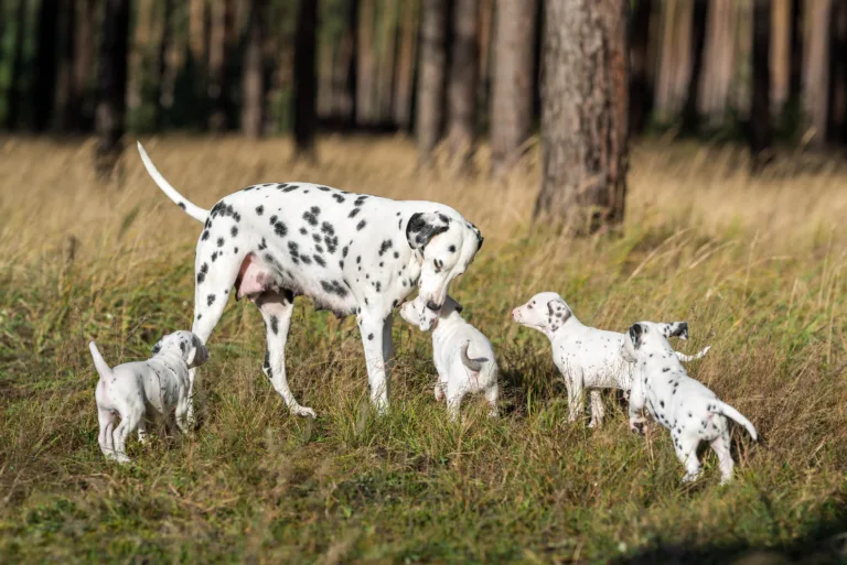 39. Lebenstag - B-Wurf (29)