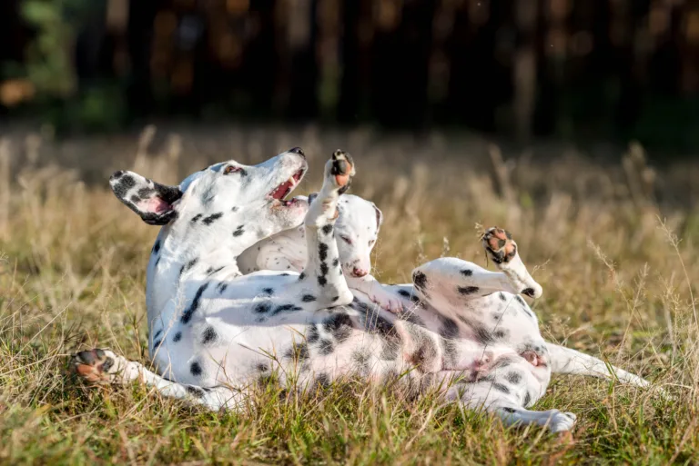 39. Lebenstag - B-Wurf (33)