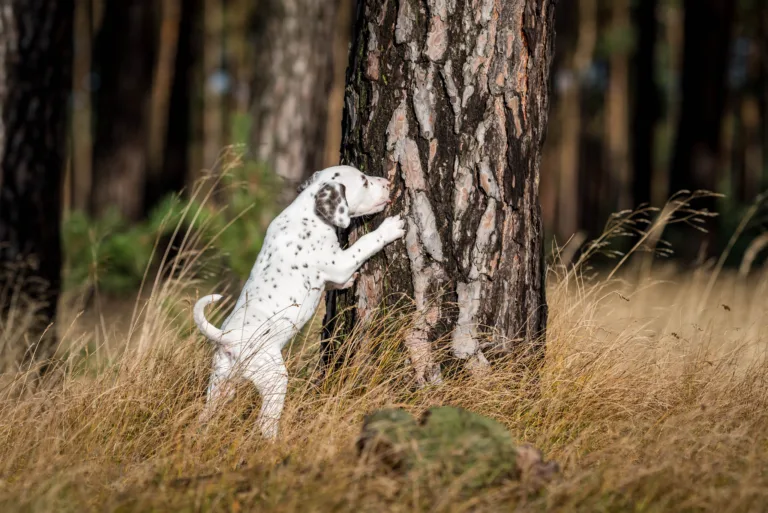 39. Lebenstag - B-Wurf (4)