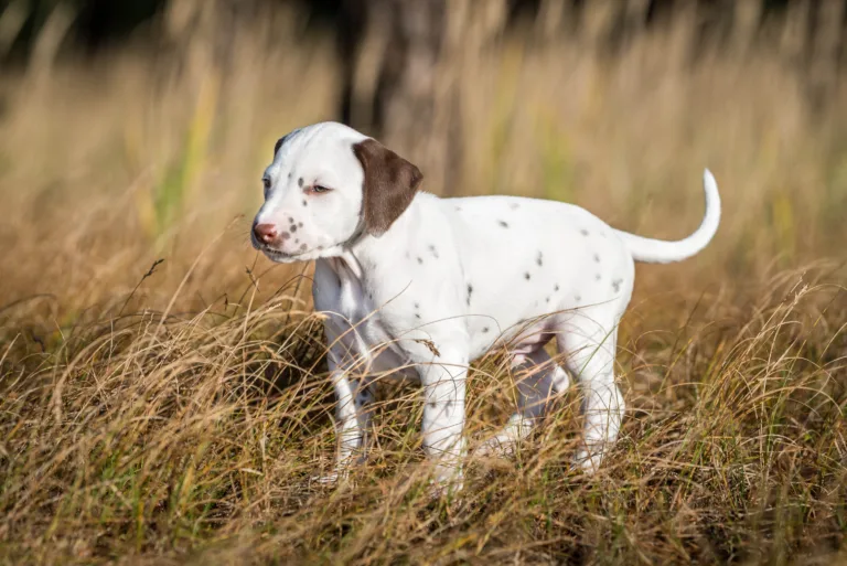 39. Lebenstag - B-Wurf (5)