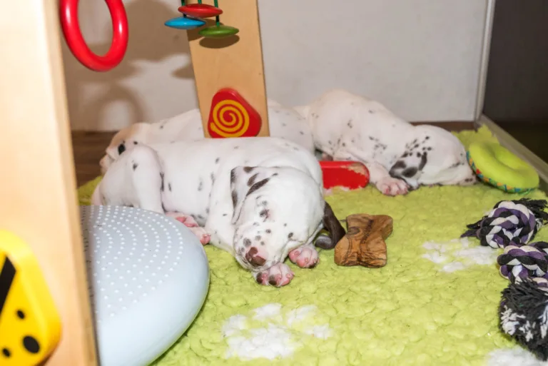 40. Lebenstag - B-Wurf (3)