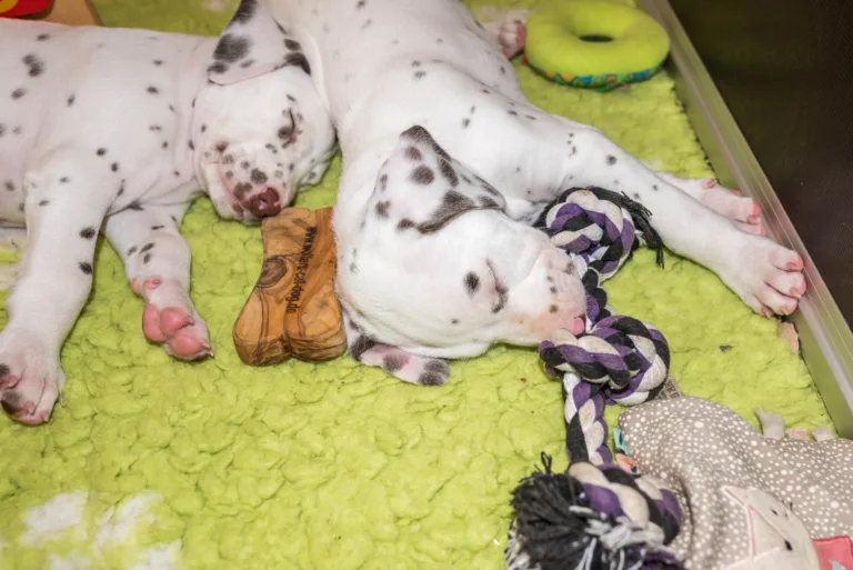 40. Lebenstag - B-Wurf (5)