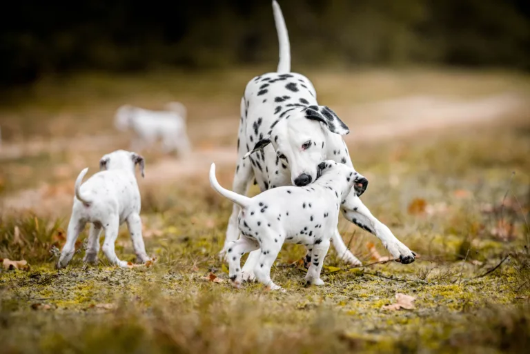 41. Lebenstag - B-Wurf (10)