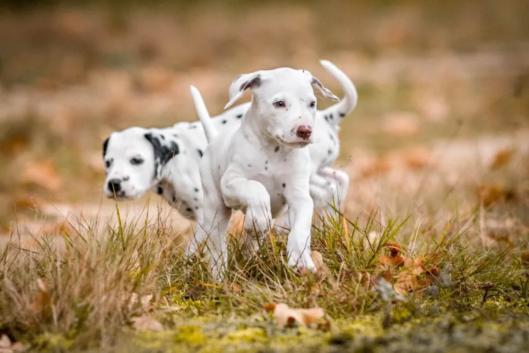 41. Lebenstag - B-Wurf (11)