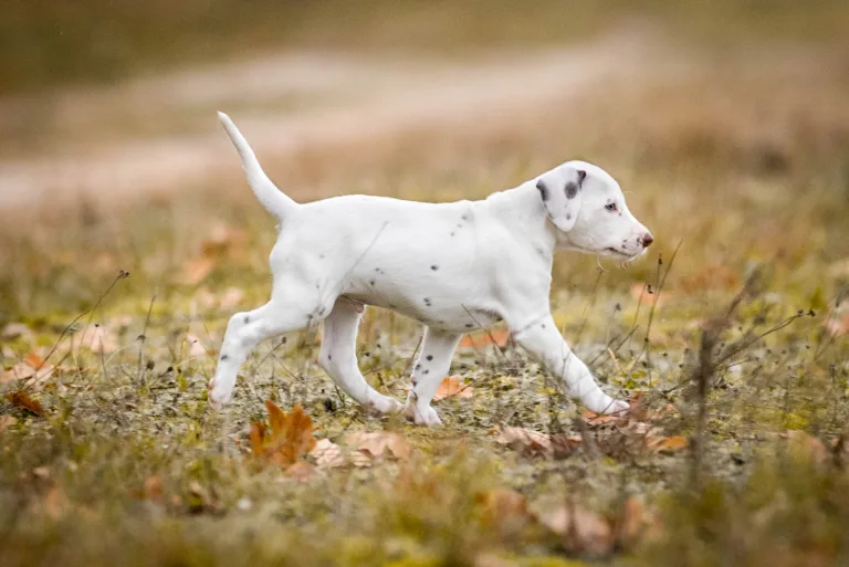 41. Lebenstag - B-Wurf (12)