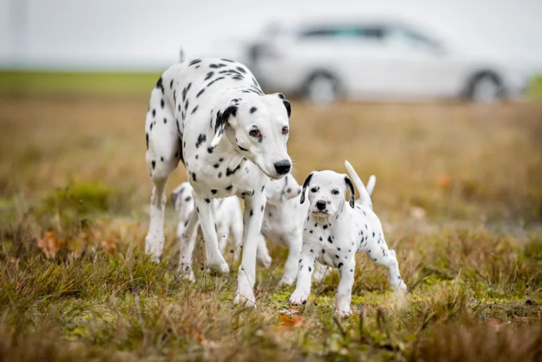 41. Lebenstag - B-Wurf (13)