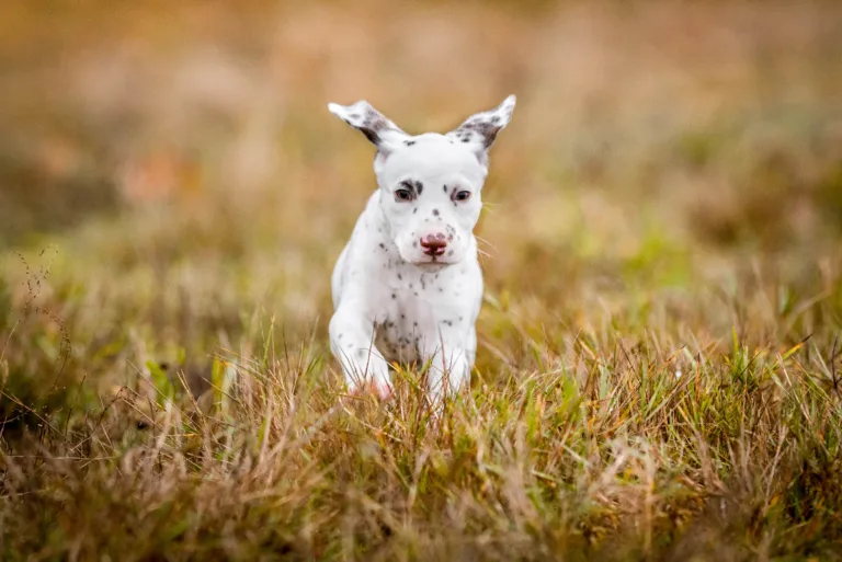41. Lebenstag - B-Wurf (14)