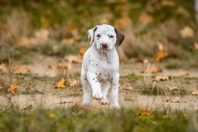 41. Lebenstag - B-Wurf (19)