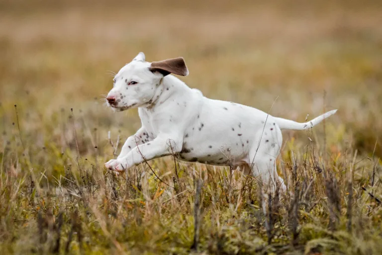 41. Lebenstag - B-Wurf (21)