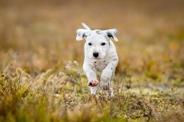 41. Lebenstag - B-Wurf (22)