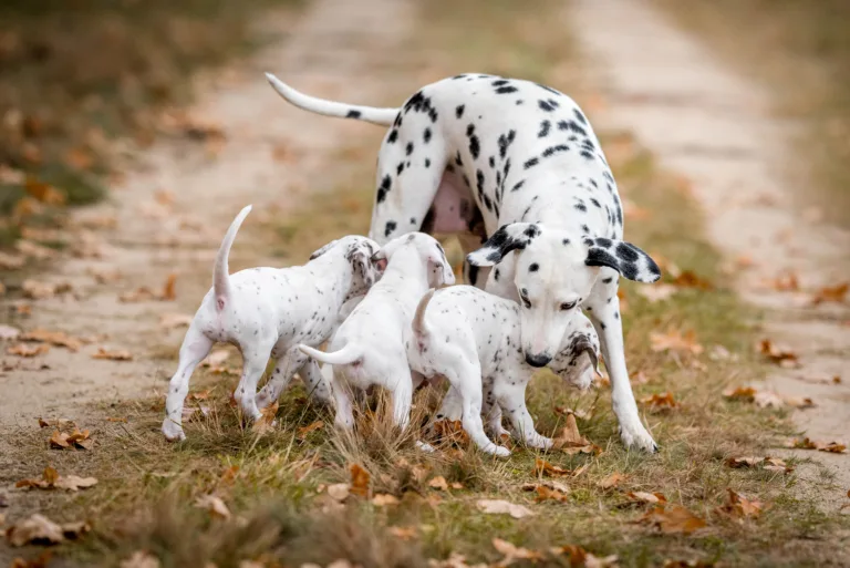 41. Lebenstag - B-Wurf (6)